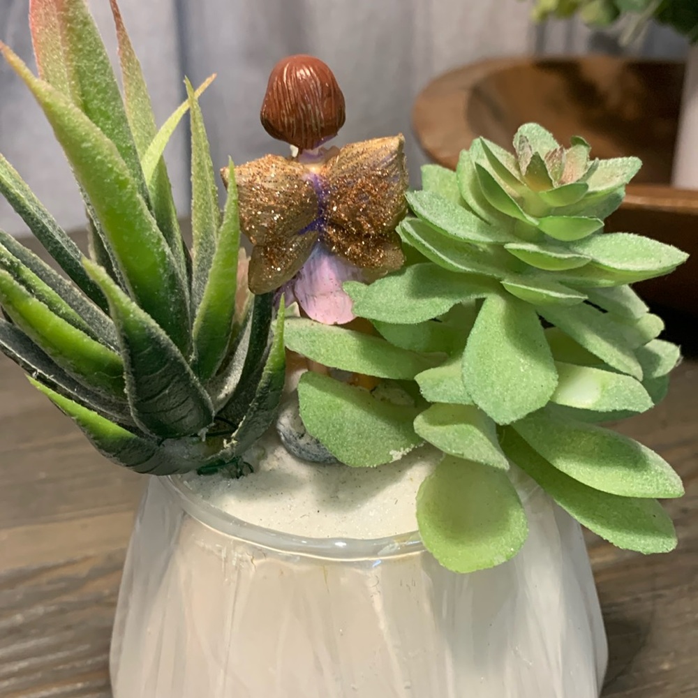 Succulent Fairy Beach Garden - Picture 3 of 5